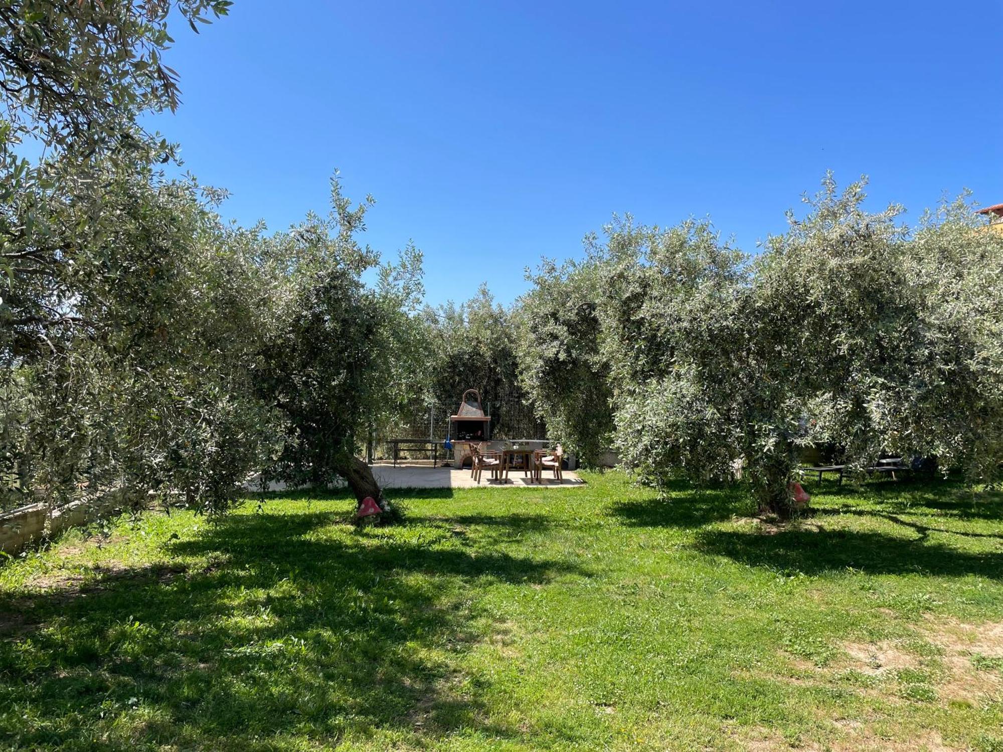 Discovery Villas Limenaria  Exterior foto